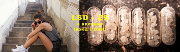 спайс Корсаков