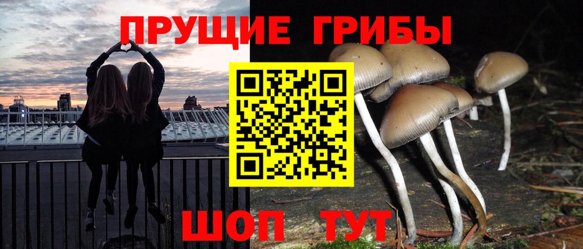 Галлюциногенные грибы ЛСД  Вход с VPN  Бердск 