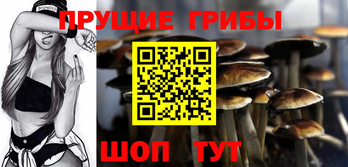 Галлюциногенные грибы мухоморы Бердск