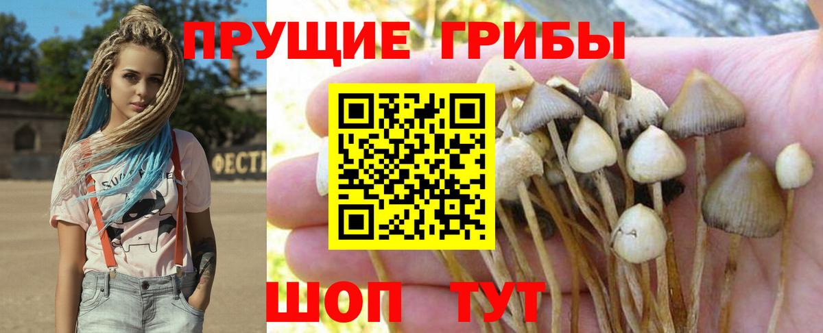 Галлюциногенные грибы прущие грибы Бердск